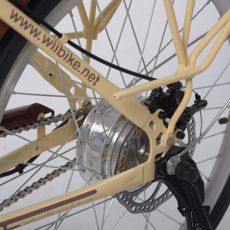 Wiibiike - xe đạp trợ lực điện