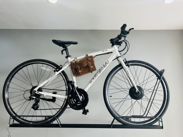 LOUIS GARNEAU TRỢ LỰC ĐIỆN WIIBIKE
