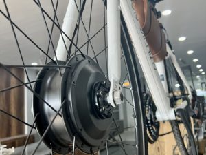 LOUIS GARNEAU TRỢ LỰC ĐIỆN WIIBIKE
