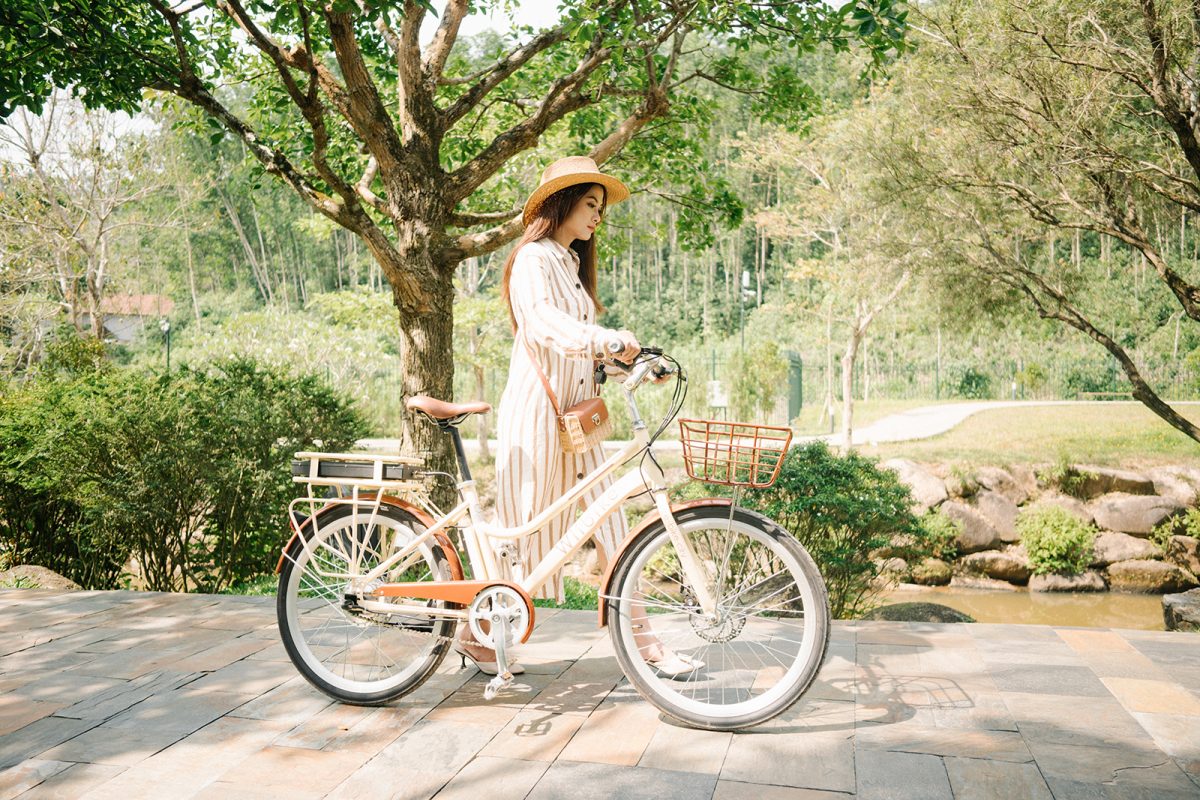 Xe đạp trợ lực nữ Wiibike