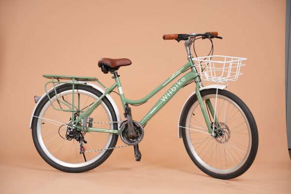 Xe đạp màu xanh lá matcha Summer Wiibike
