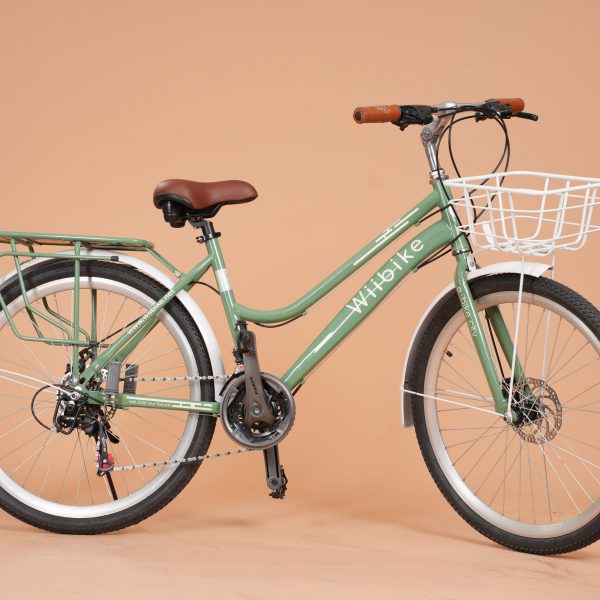 Xe đạp màu xanh lá matcha Summer Wiibike