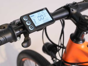 xe đạp thể thao trợ lực điện wiibike miamor mtb crush 2022