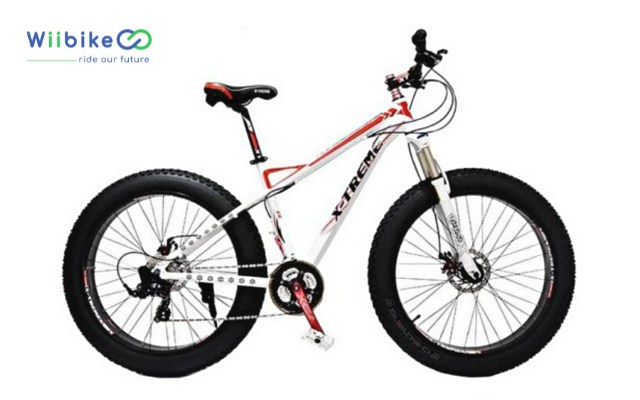 Xe đạp bánh to X - Treme 21 Speed