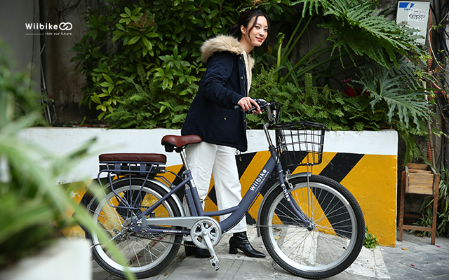 Xe đạp người lớn Wiibike Mira