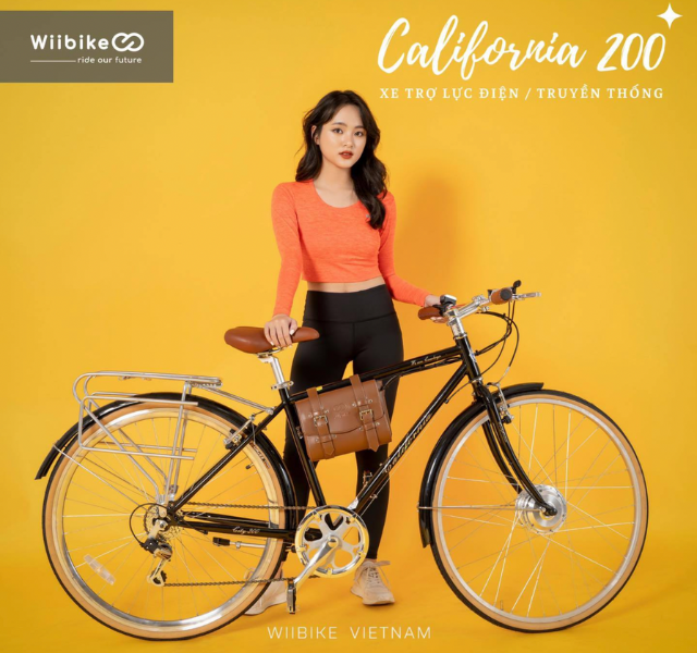 Xe đạp touring WiiBike 24V California 200
