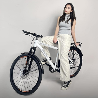 Xe đạp trợ lực điện, phương tiện di chuyển mới