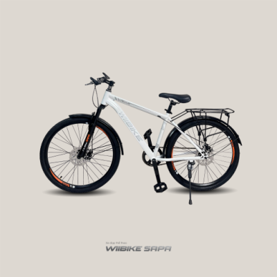 Xe Đạp Trợ Lực Điện Wiibike Tích Hợp 4 Tính Năng Công Nghệ Đặc Biệt Wiibike, Xe đạp trợ lực điện