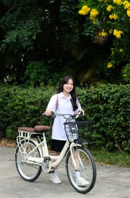 Xe đạp trợ lực điện
