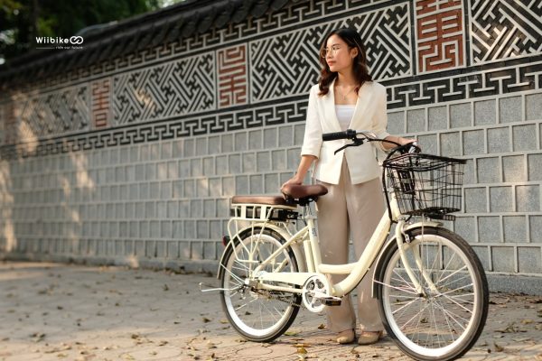 xe đạp trợ lực điện