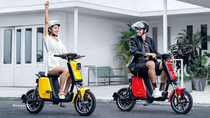 xe đạp trợ lực điện