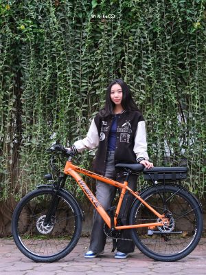 xe đạp trợ lực điện