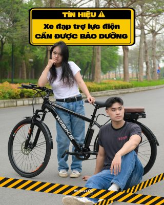 xe đạp trợ lực điện, bảo dưỡng