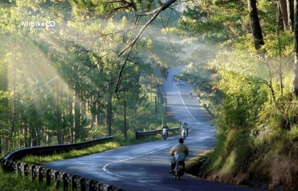 Xe đạp trợ lực điện