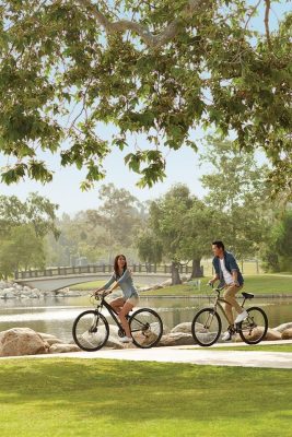 Biking, Xe đạp trợ lực điện