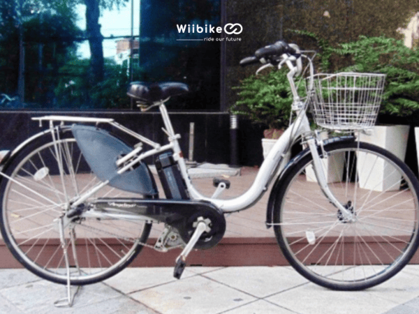 Xe đạp điện cao cấp 