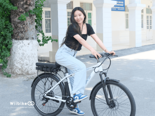 xuat xu pin xe dap tro luc dien wiibike